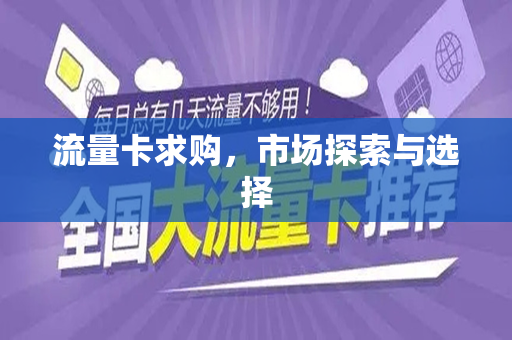 流量卡求购，市场探索与选择