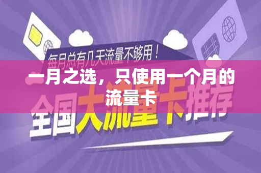 一月之选，只使用一个月的流量卡
