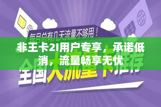 非王卡2I用户专享，承诺低消，流量畅享无忧