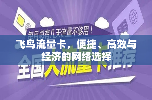 飞鸟流量卡，便捷、高效与经济的网络选择