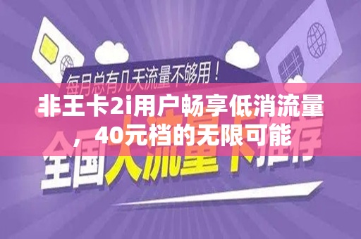 非王卡2i用户畅享低消流量，40元档的无限可能