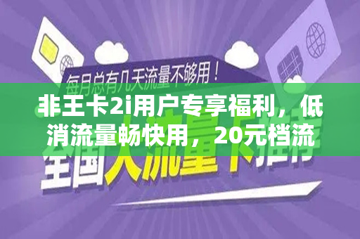 非王卡2i用户专享福利，低消流量畅快用，20元档流量套餐解析