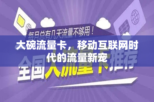 大碗流量卡，移动互联网时代的流量新宠