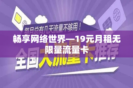 畅享网络世界—19元月租无限量流量卡