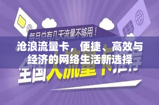 沧浪流量卡，便捷、高效与经济的网络生活新选择