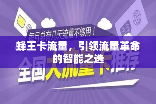 蜂王卡流量，引领流量革命的智能之选