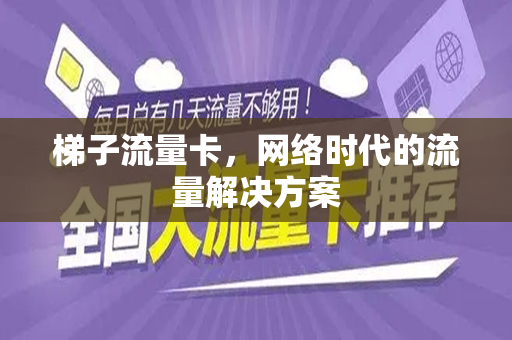 梯子流量卡，网络时代的流量解决方案