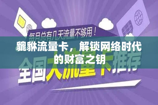 貔貅流量卡，解锁网络时代的财富之钥