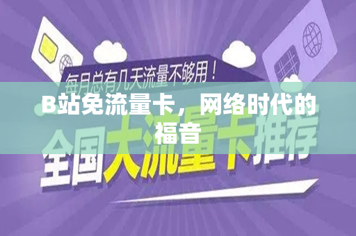 B站免流量卡，网络时代的福音