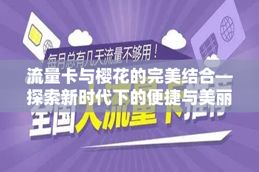 流量卡与樱花的完美结合—探索新时代下的便捷与美丽