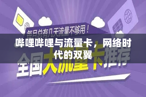 哔哩哔哩与流量卡，网络时代的双翼