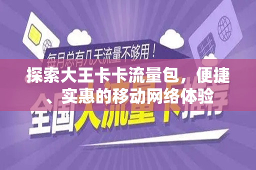 探索大王卡卡流量包，便捷、实惠的移动网络体验