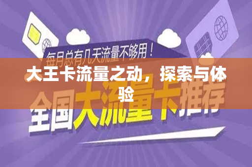 大王卡流量之动，探索与体验