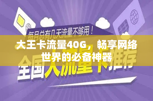 大王卡流量40G，畅享网络世界的必备神器