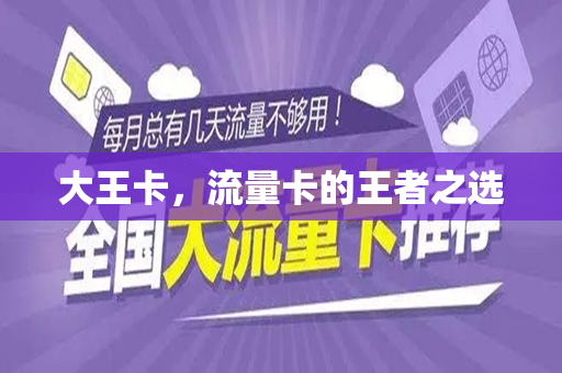 大王卡，流量卡的王者之选