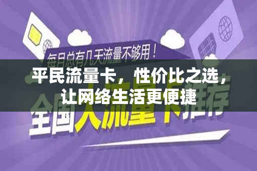 平民流量卡，性价比之选，让网络生活更便捷