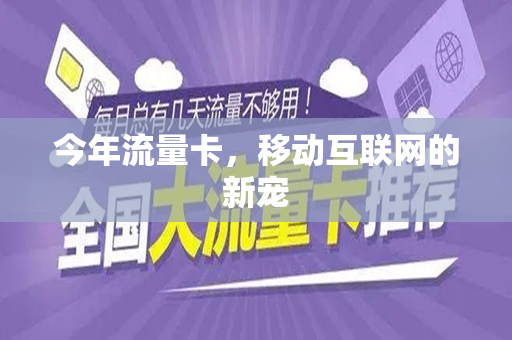 今年流量卡,移动互联网的新宠