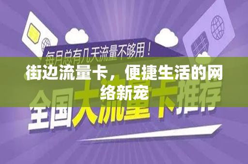 街边流量卡,便捷生活的网络新宠