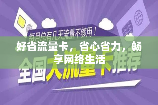 好省流量卡,省心省力,畅享网络生活