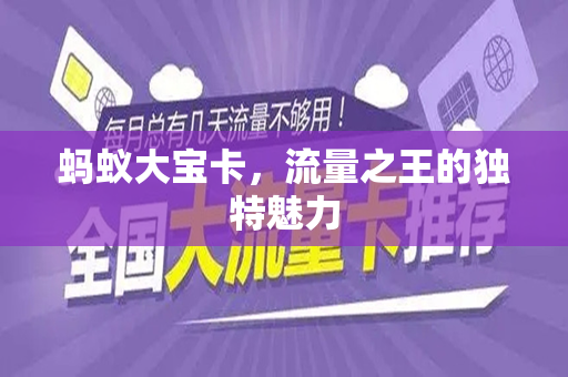 蚂蚁大宝卡，流量之王的独特魅力