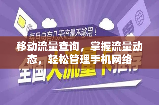 移动流量查询,掌握流量动态,轻松管理手机网络