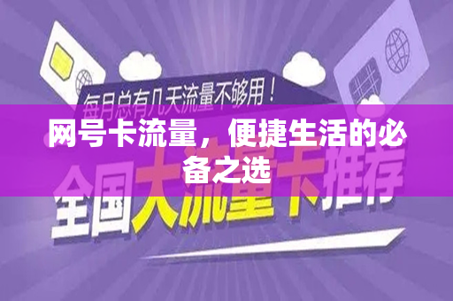 网号卡流量，便捷生活的必备之选