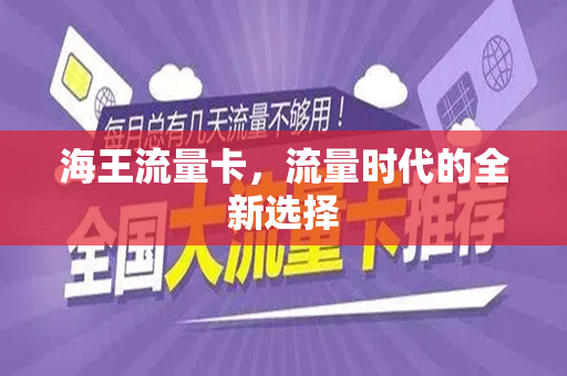 海王流量卡,流量时代的全新选择