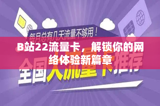 B站22流量卡,解锁你的网络体验新篇章