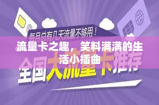 流量卡之趣，笑料满满的生活小插曲