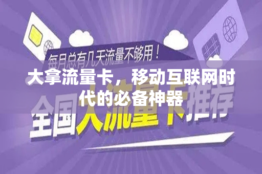 大拿流量卡，移动互联网时代的必备神器