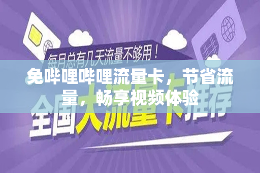 免哔哩哔哩流量卡，节省流量，畅享视频体验