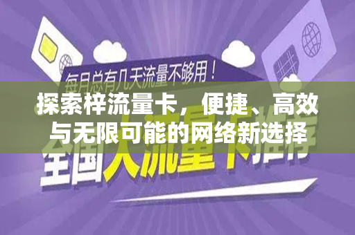 探索梓流量卡，便捷、高效与无限可能的网络新选择