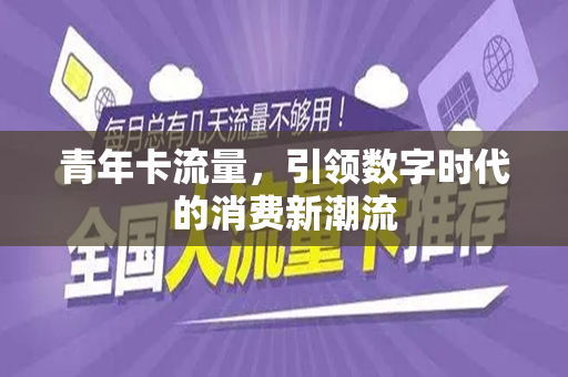 青年卡流量,引领数字时代的消费新潮流