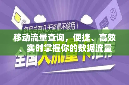 移动流量查询,便捷、高效、实时掌握你的数据流量