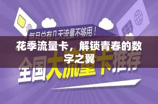 花季流量卡，解锁青春的数字之翼