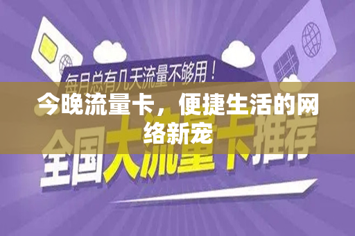 今晚流量卡，便捷生活的网络新宠
