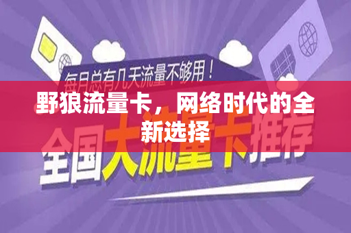 野狼流量卡，网络时代的全新选择