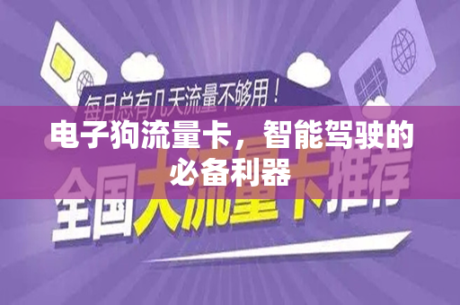 电子狗流量卡,智能驾驶的必备利器