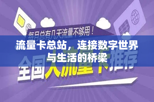 流量卡总站，连接数字世界与生活的桥梁