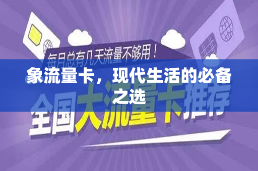象流量卡，现代生活的必备之选