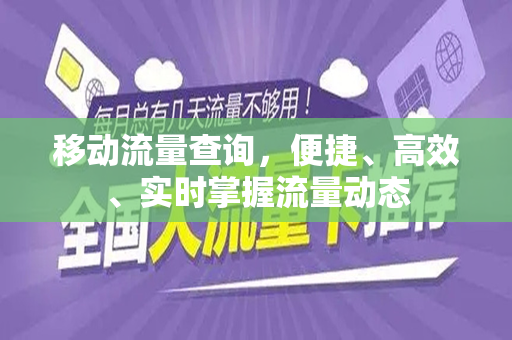移动流量查询，便捷、高效、实时掌握流量动态