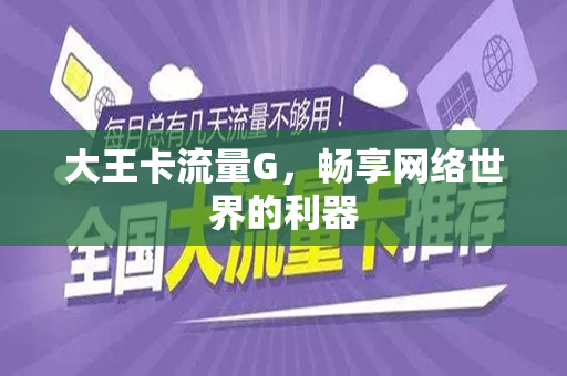 大王卡流量G，畅享网络世界的利器