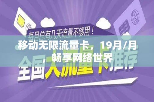 移动无限流量卡，19月/月，畅享网络世界