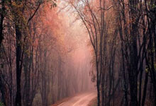 流量卡,移动网络时代的便捷之选