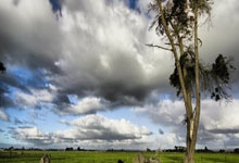 乾坤卡流量,解锁数字时代的无限可能