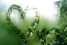 流量卡,移动网络时代的便捷之选