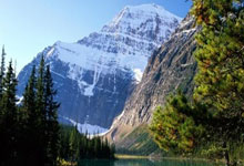 收购流量卡,市场趋势与商业机遇