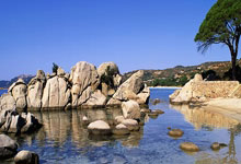 移动无限流量卡,开启数字化生活的全新篇章