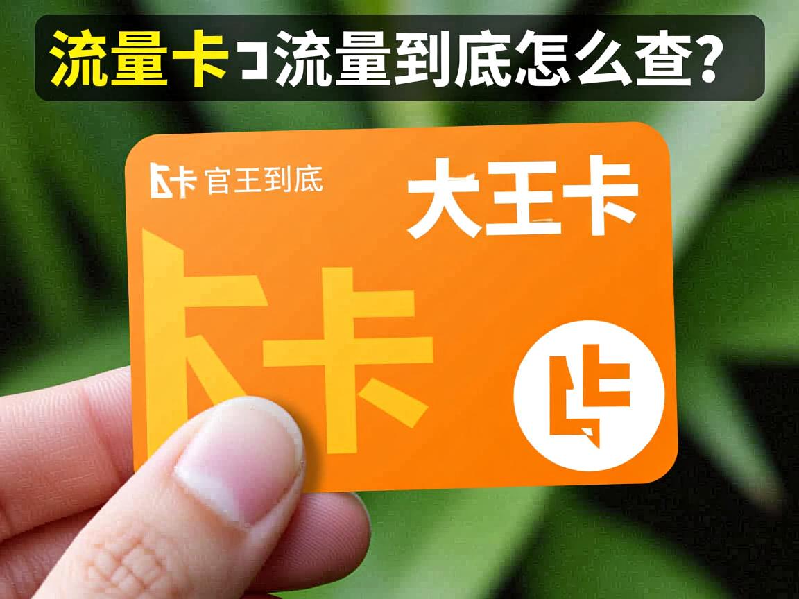 大王卡流量到底怎么查？这几个官方方法亲测有效